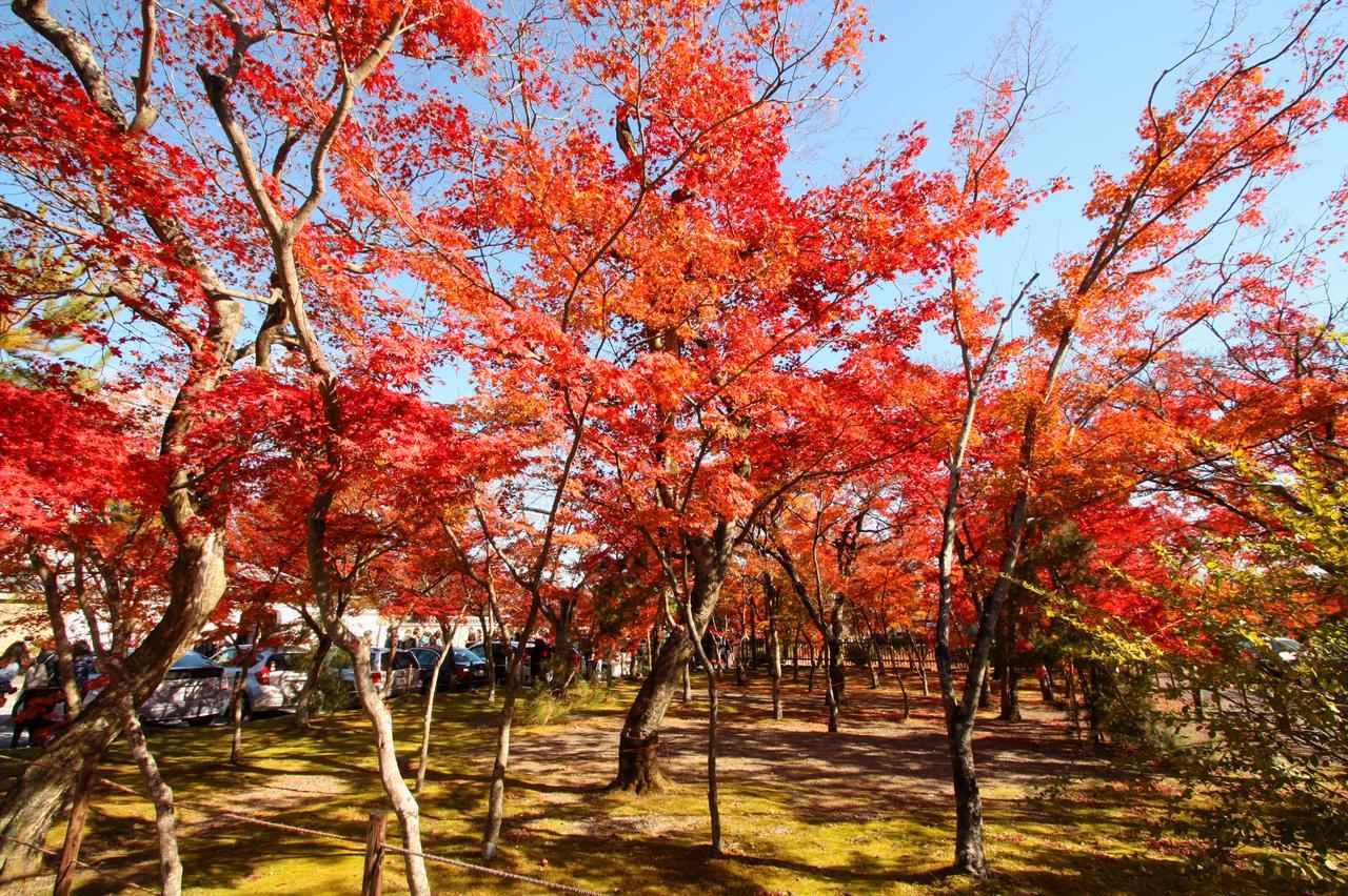 一棟貸切り宿 嵯峨嵐山 京都市